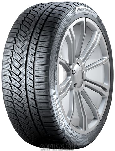 Купить CONTINENTAL 0355165 Шины Continental WinterContact TS 850 P 275/30 R20 97W (до 270 км/ч) 355165