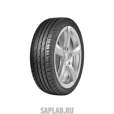 Купить DELINTE 6901532203928 Шины Delinte DH2 205/55 R17 95W