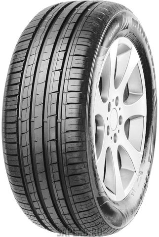 Купить MINERVA MV851 Шины Minerva F209 205/55 R16 W 91