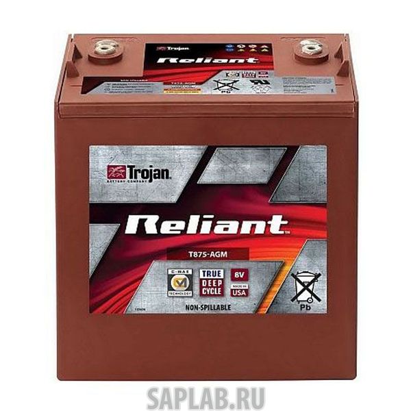 Купить TROJAN T875AGM Аккумулятор TROJAN T875-AGM 8V 160A (262х179х273)